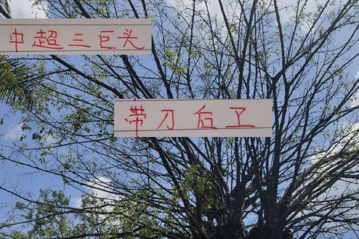 中超三巨头现役里面 谁是真正带刀后卫 海港是张琳芃 申花是蒋圣龙